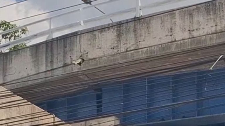 Denuncian y solicitan reparación de paso a desnivel en La Vega, Tegucigalpa