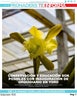 conservacion-de-orquidea