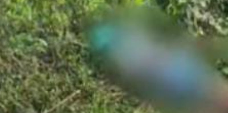 Hallan hombre muerto en Santa Bárbara; identifican a la víctima.