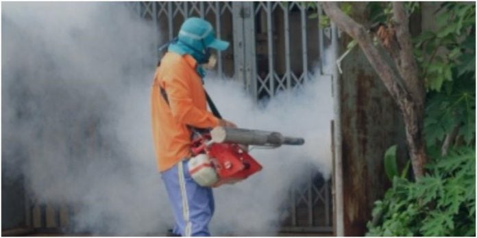 fumigadores