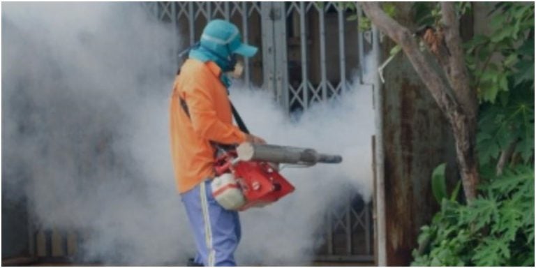 fumigadores