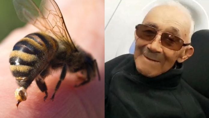 Adulto mayor muere tras ataque de abejas en Ocotepeque