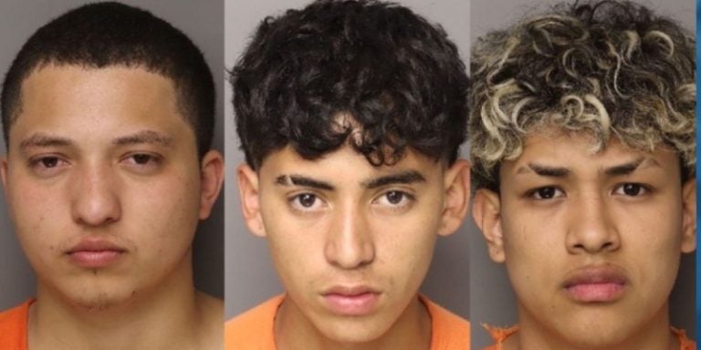 Capturan a seis hondureños, tres de ellos menores, por asesinar a mujer en EE.UU.