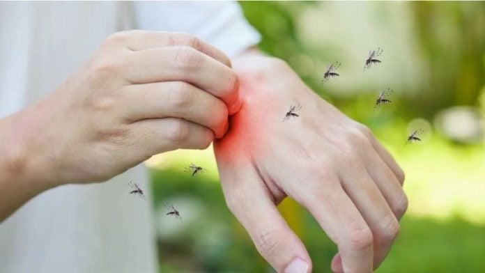 Brote de malaria en Islas de la Bahía