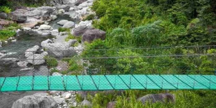 puente de hamaca