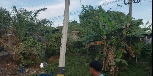 escena