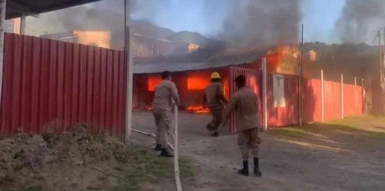 Alarma de incendios en San Pedro Sula: Bomberos revelan causas y acciones preventivas