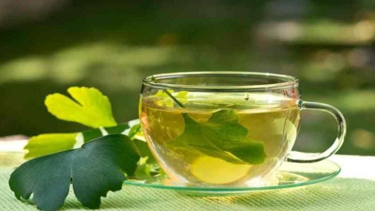 ¿Para qué sirve el té de ginkgo biloba? Estos son sus beneficios para la salud