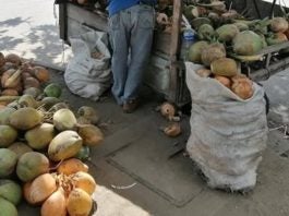 vendedor de cocos