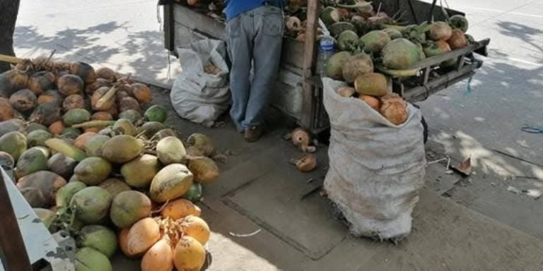 vendedor de cocos