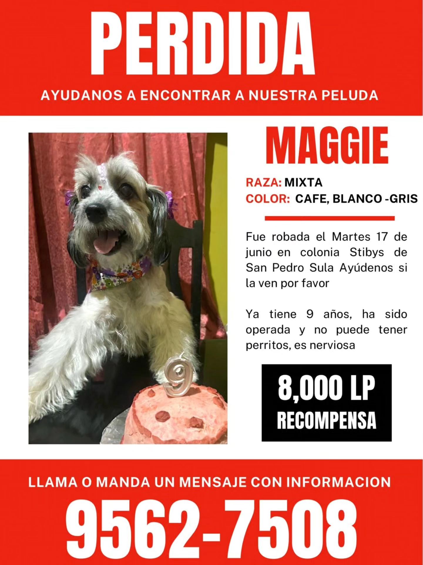 búsqueda