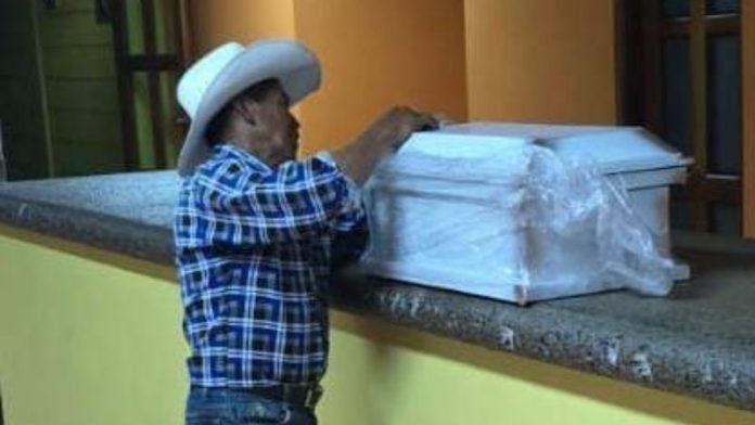 Bebé gusano barreanador miasis