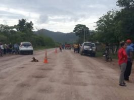Olancho bebé atropellado