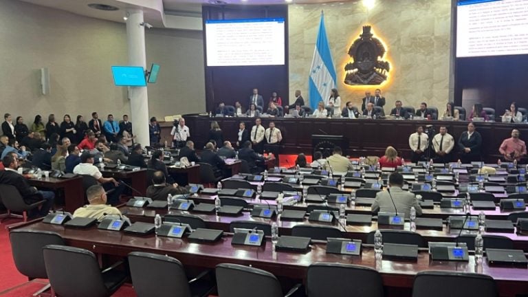 Presupuesto electoral es aprobado tras inicio de sesión con suplentes
