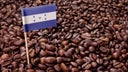 cafe-honduras-5