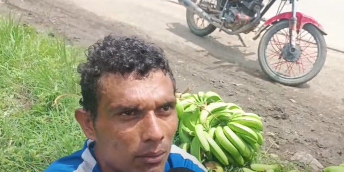 Por robar guineos detienen a un hombre Cortés