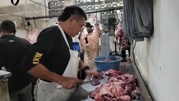 Carne de Caballo Danlí 2