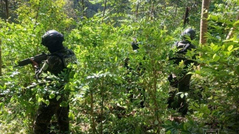 Coca zonas protegidas Atlántida