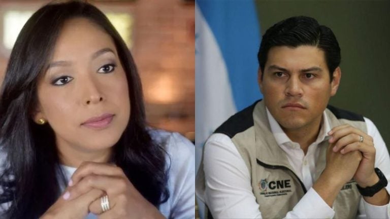 Diputada al «niño berrinchudo»: Consejeras tomaron la mejor decisión sobre el TREP