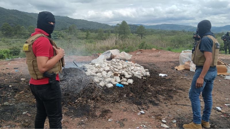 Droga incinerada
