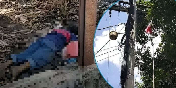 “Estaba bajando mangos” Hombre muere electrocutado en el barrio Guamilito de SPS