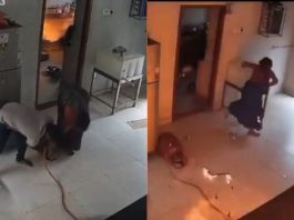 ¡Impactante! Pareja casi muere calcinada por fuga de gas captada en video viral
