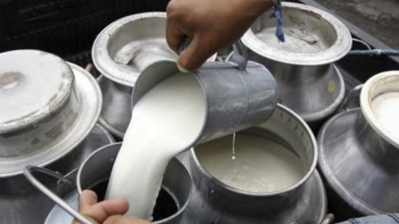 Ganaderos precio litro de leche