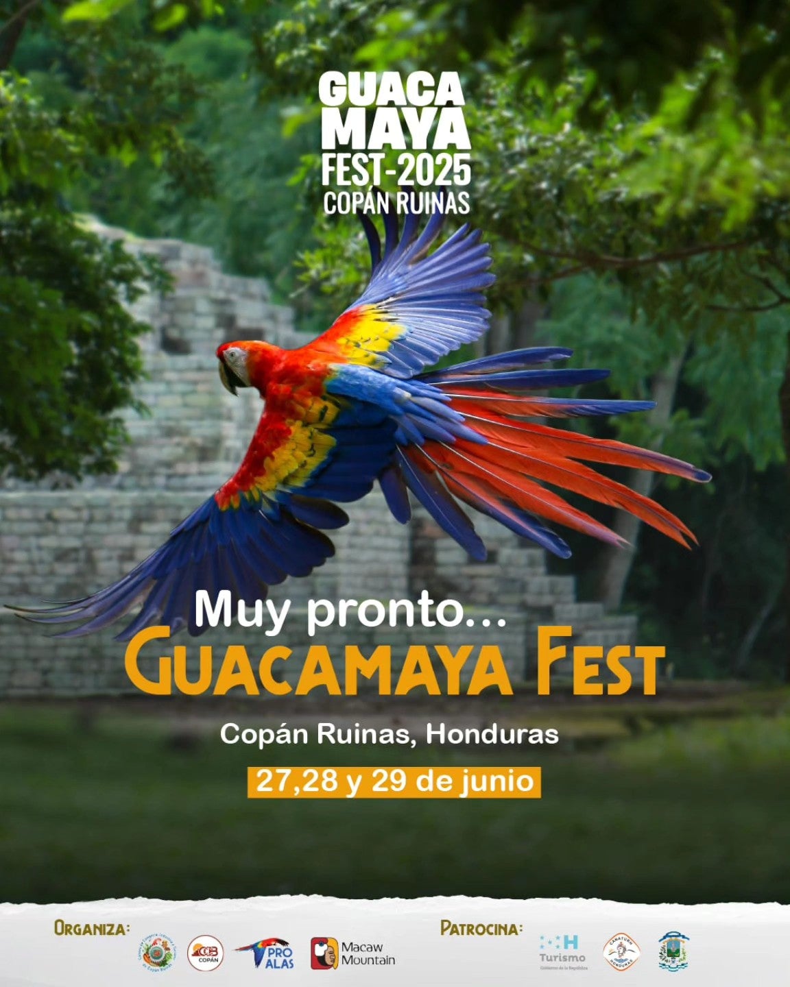Guacamaya Fest 2025