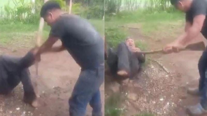 Brutal golpiza de hijo a padre