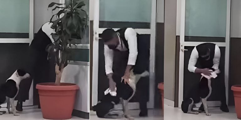 Trabajador de salud conmueve al secar y dar refugio a perrito bajo la lluvia en TGU