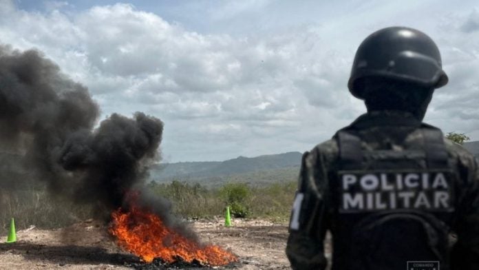 destruyen 39 paquetes cocaína
