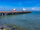 la-ceiba7
