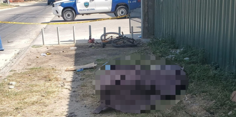SPS: reciclador fallece atropellado cerca de la STIBYS