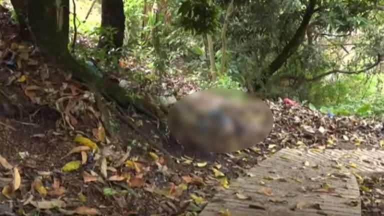 Macabro crimen en Comayagüela: con golpes y disparos hallan a un hombre