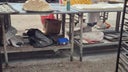 panaderia-tela-2
