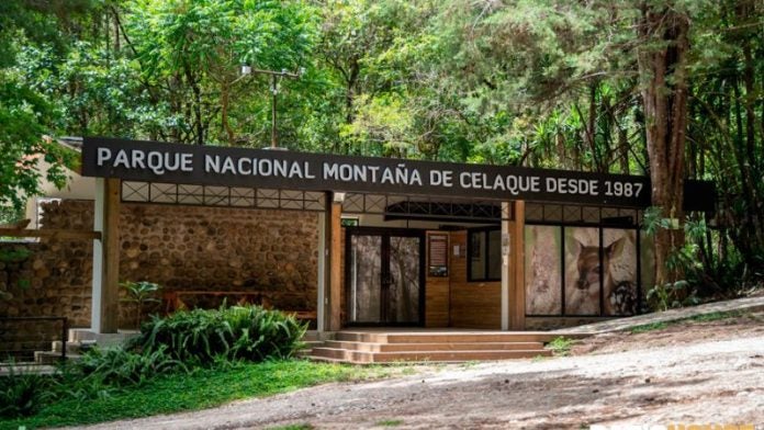 Suspenden acceso al Parque Nacional Montaña de Celaque tras daños por lluvias