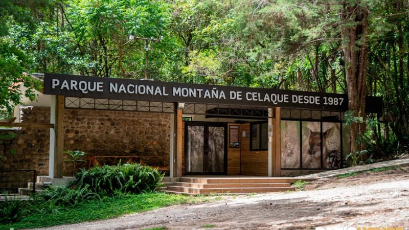 Suspenden acceso al Parque Nacional Montaña de Celaque tras daños por lluvias