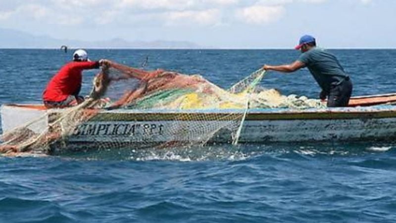  canon contributivo pesca industrial