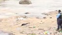 rio-choluteca-1