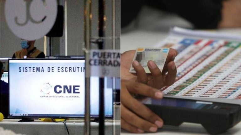 CNE términos de referencia TREP