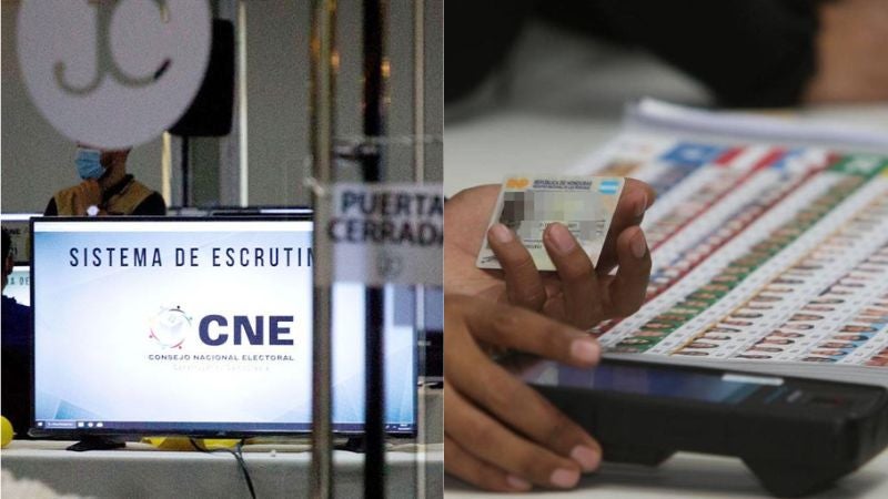 CNE términos de referencia TREP