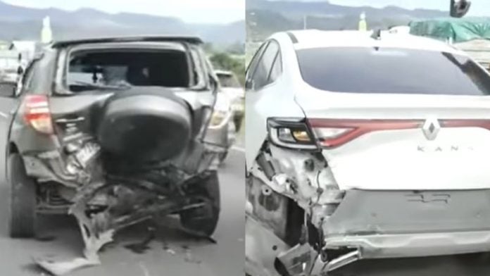 Dos perritos mueren al intentar cruzar