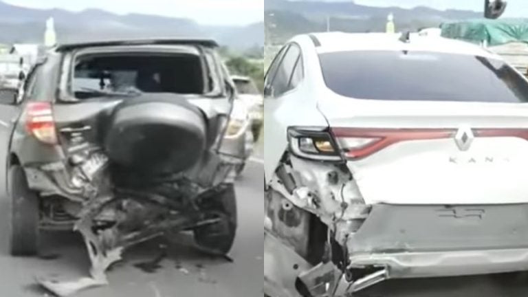 Dos perritos mueren al intentar cruzar