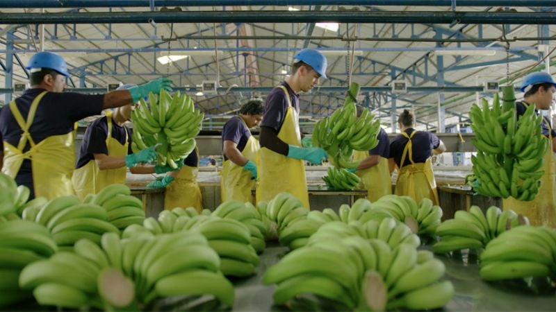 trabajadores de bananera reunión Panamá