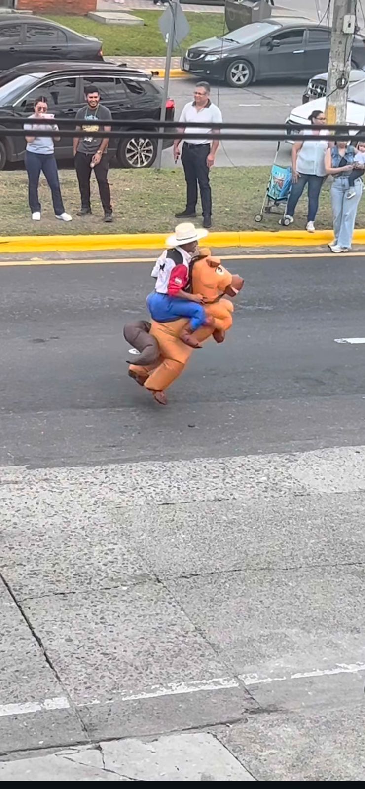 caballos