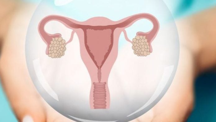 Así se manifiesta el cáncer de útero: señales de alerta y factores clave
