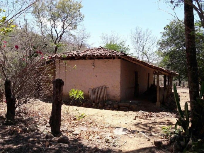 danilo 