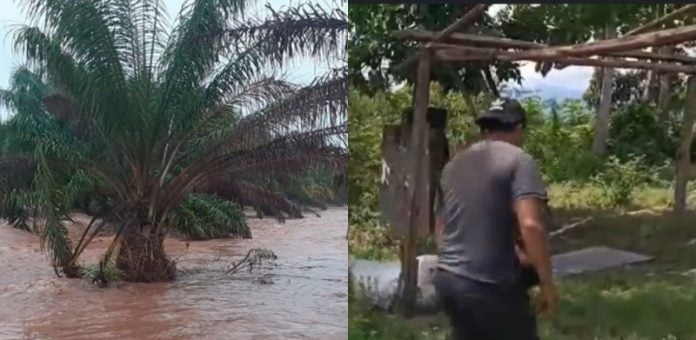 Bordos se rompen en El Progreso