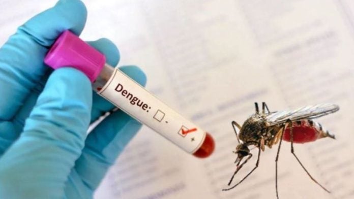 Honduras, segundo país de Centroamérica con más casos de dengue: OPS