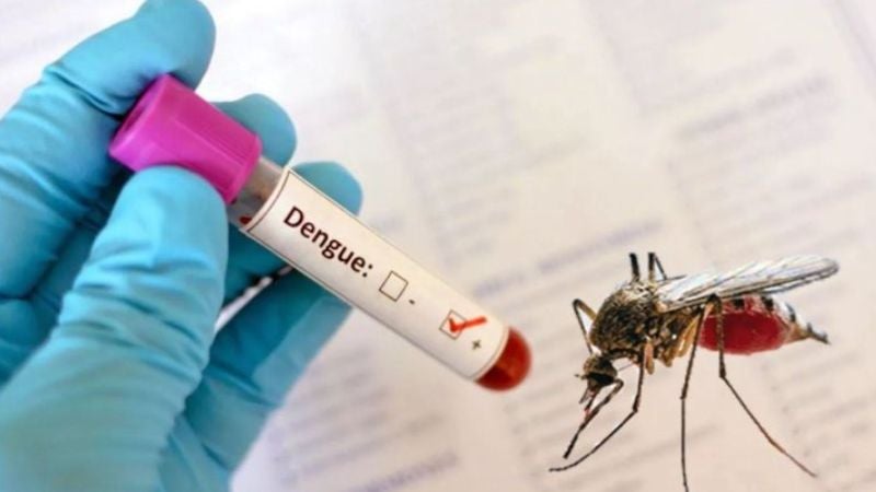Honduras, segundo país de Centroamérica con más casos de dengue: OPS